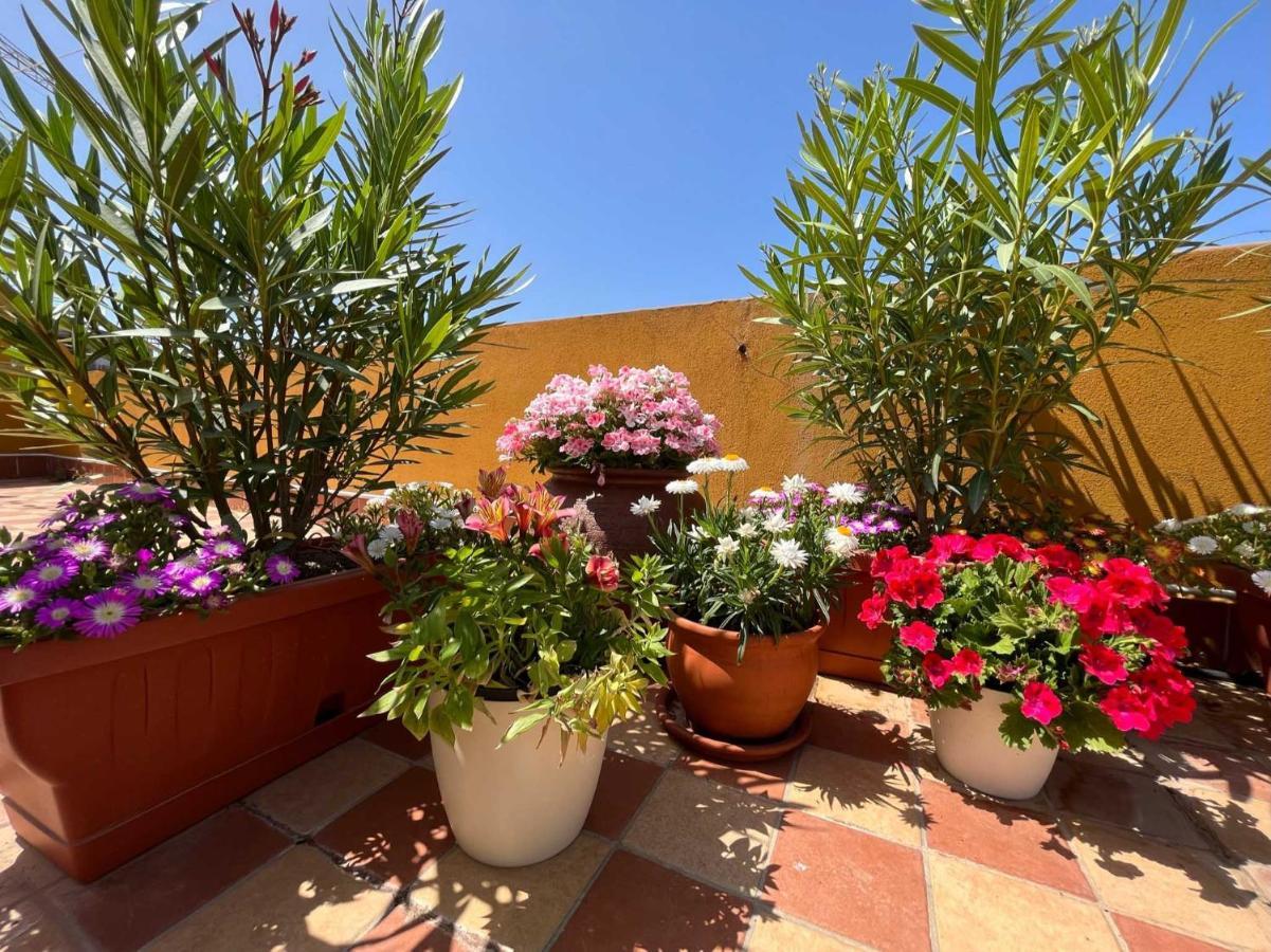 Apartament Casa Yvona Alghero Zewnętrze zdjęcie